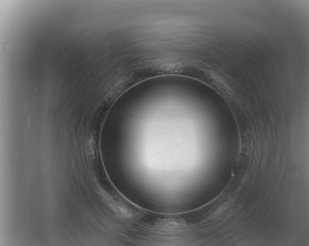 X0000064050597200602031625