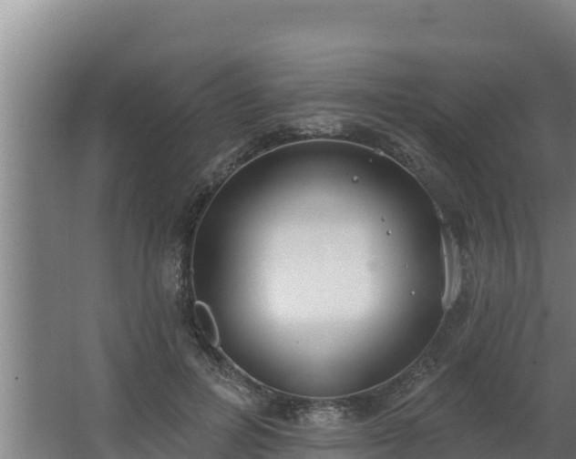 X0000064050600200602031625