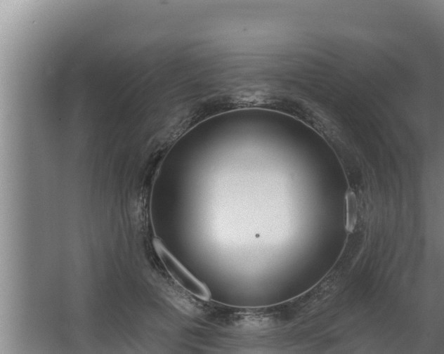 X0000064050601200602031625