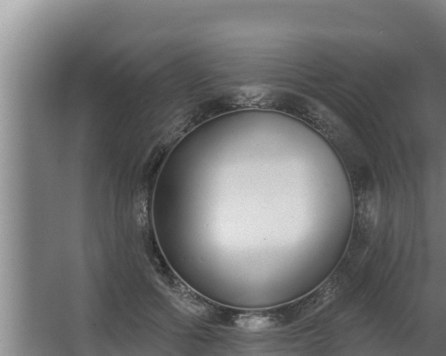 X0000064050602200602031625