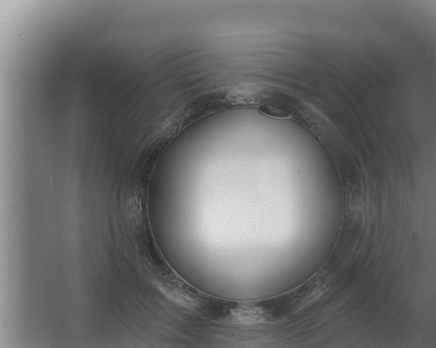 X0000064050603200602031625