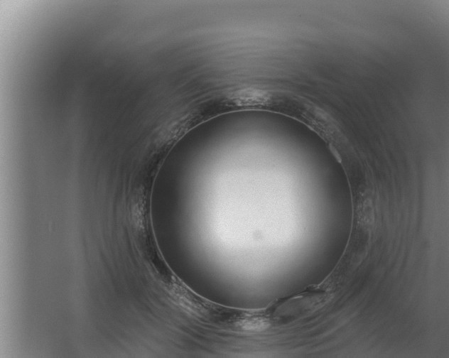 X0000064050604200602031625