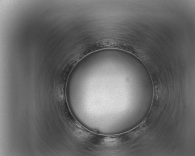 X0000064050606200602031625