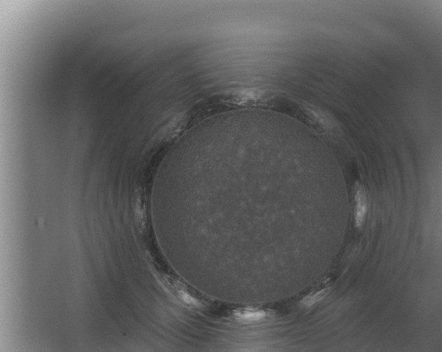 X0000064050607200602031625