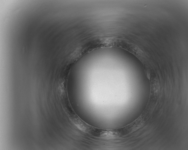 X0000064050611200602031625