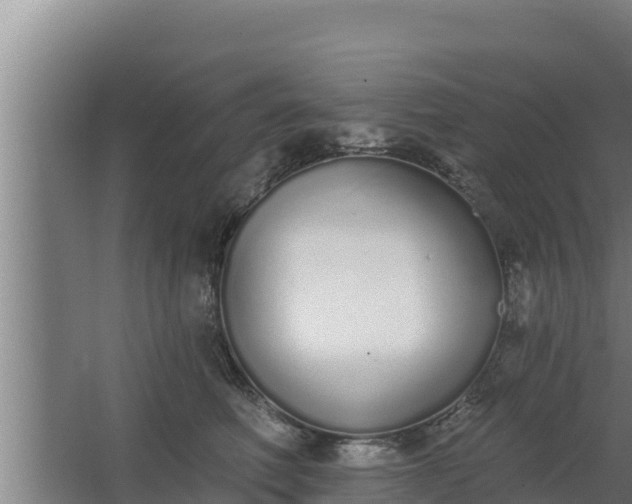 X0000064050614200602031625