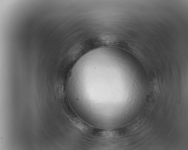 X0000064050615200602031625