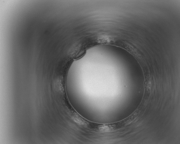 X0000064050616200602031625