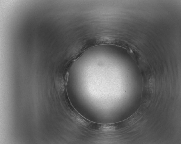 X0000064050617200602031625