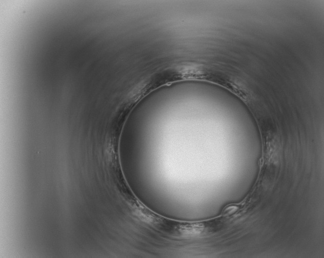 X0000064050618200602031625