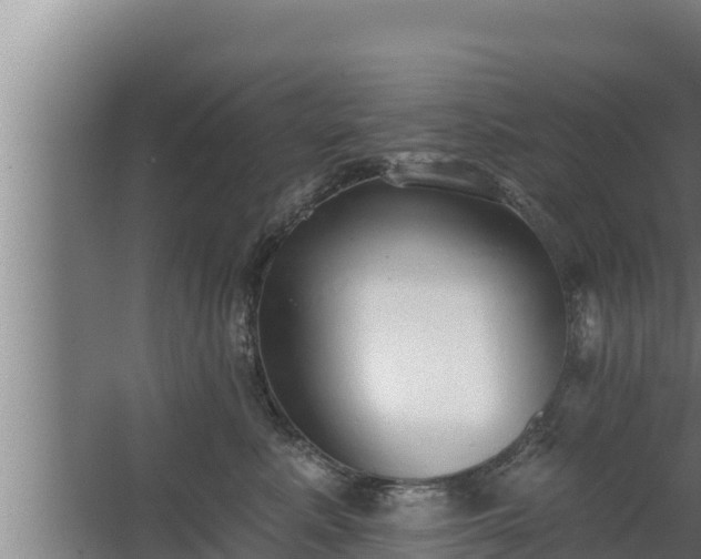 X0000064050619200602031625