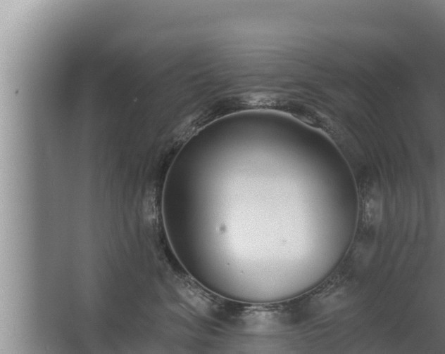 X0000064050620200602031625