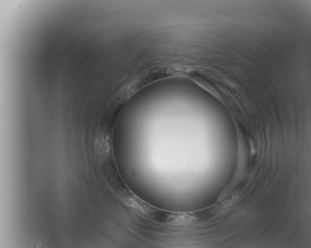 X0000064050621200602031625