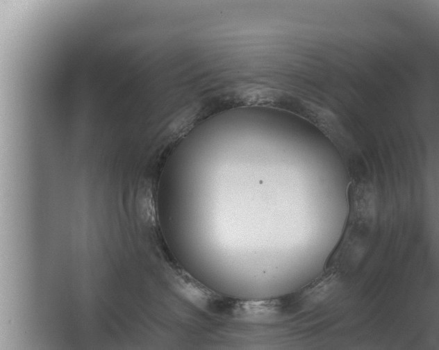 X0000064050622200602031625