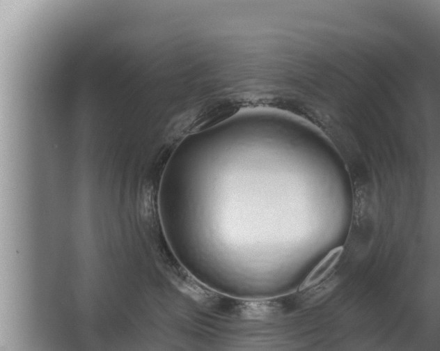 X0000064050623200602031625