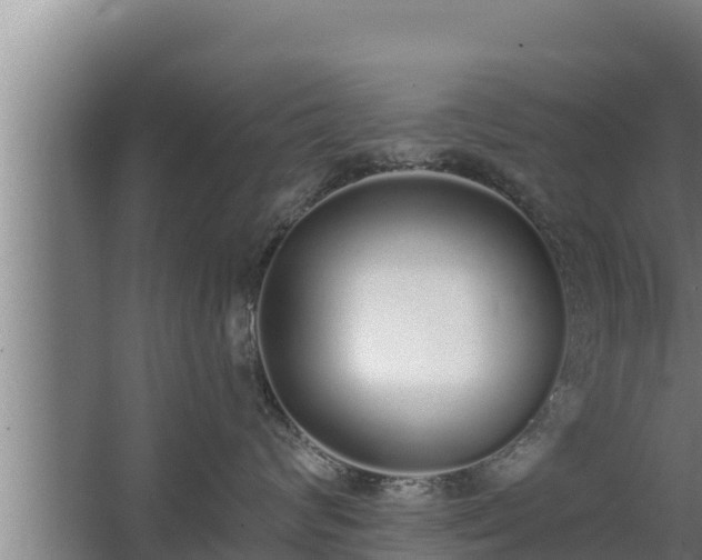 X0000064050624200602031625