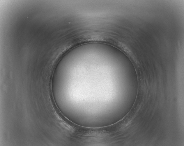 X0000064050625200602031624