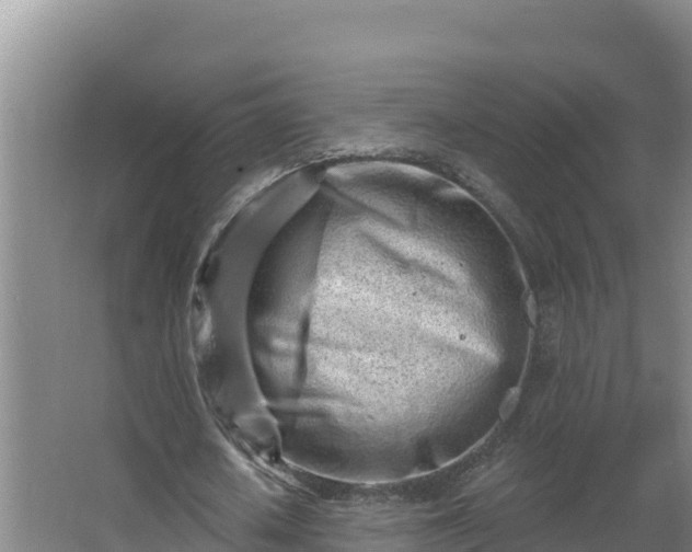 X0000064050626200602031624