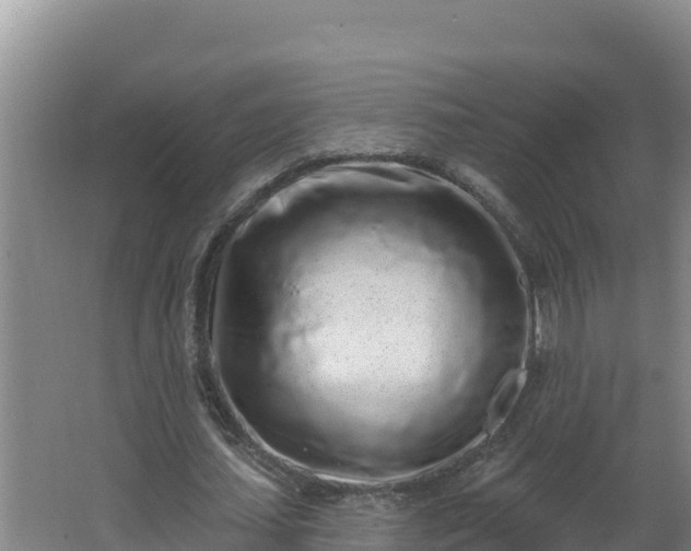 X0000064050627200602031624