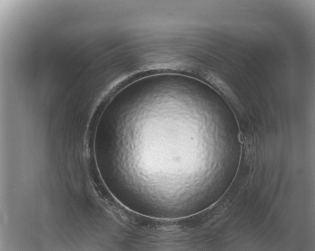 X0000064050628200602031624