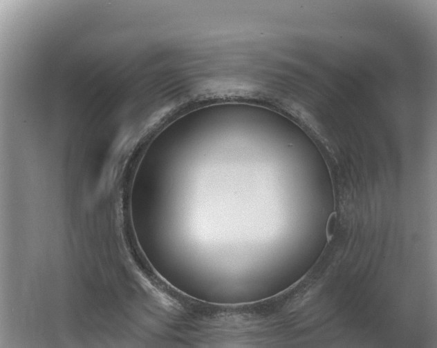 X0000064050629200602031624