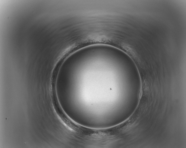 X0000064050630200602031624