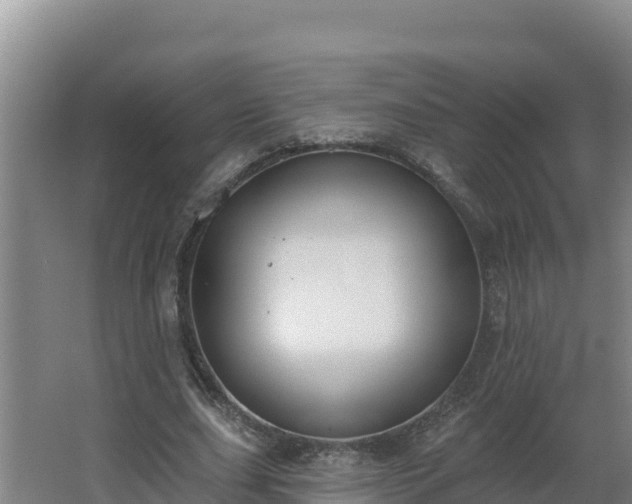 X0000064050631200602031624