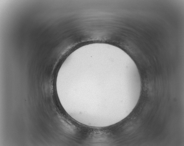 X0000064050632200602031624