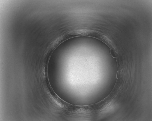 X0000064050633200602031624