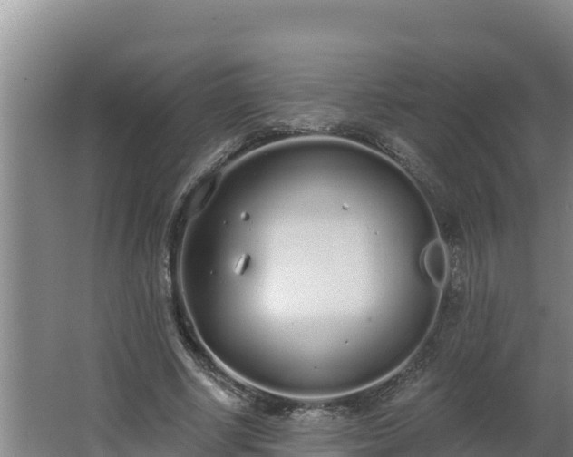 X0000064050634200602031624