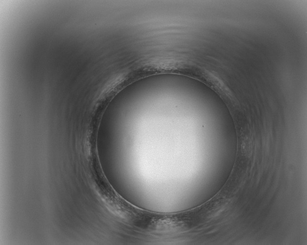 X0000064050635200602031624