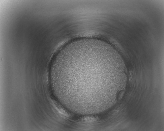 X0000064050636200602031624