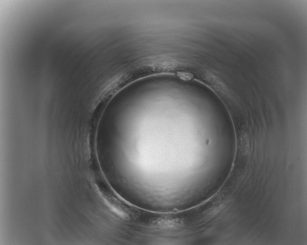 X0000064050638200602031624