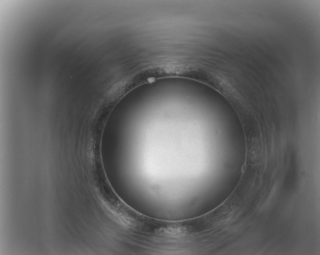 X0000064050639200602031624