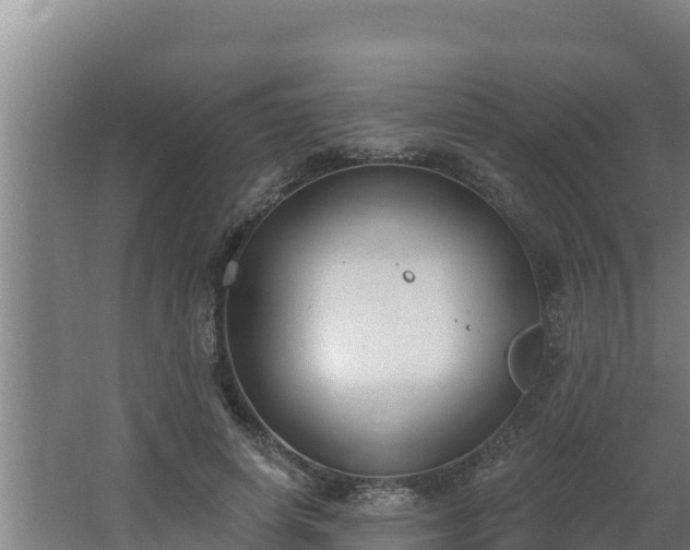 X0000064050642200602031624