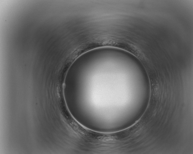 X0000064050643200602031624