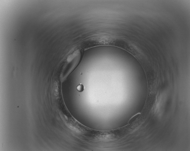 X0000064050646200602031624