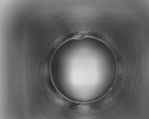 X0000064050648200602031624