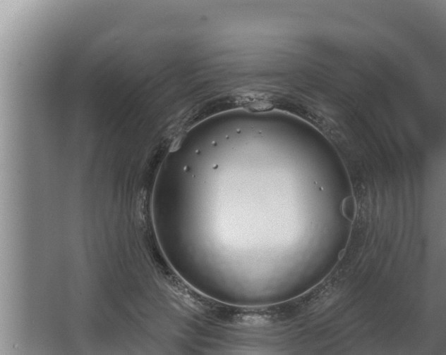 X0000064050649200602031624