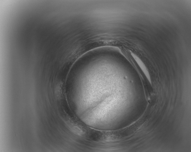 X0000064050650200602031624