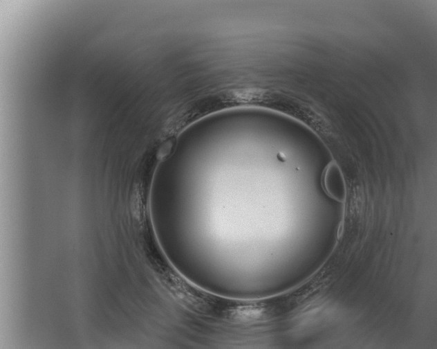 X0000064050651200602031624