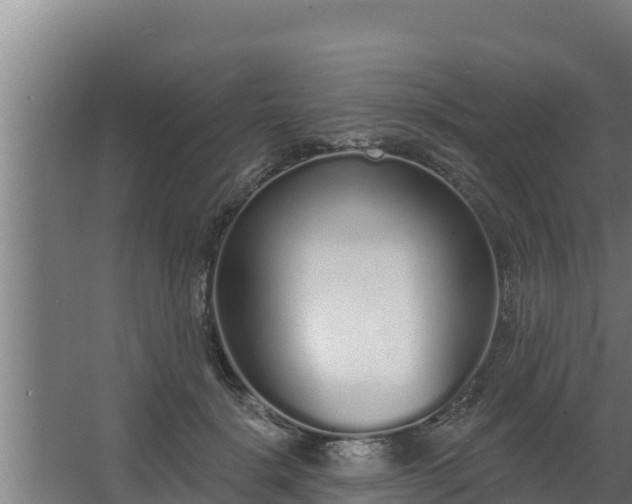 X0000064050652200602031624