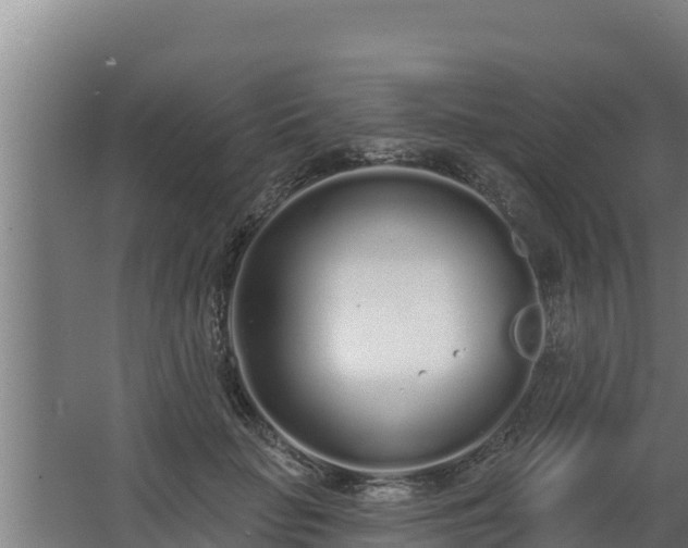 X0000064050653200602031624