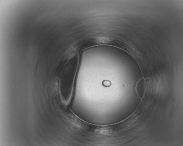 X0000064050655200602031625