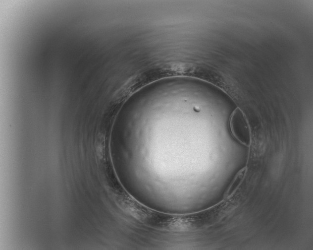 X0000064050656200602031625