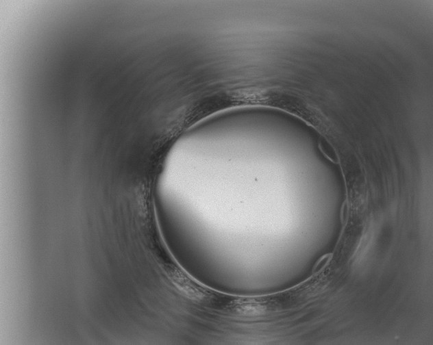 X0000064050658200602031625