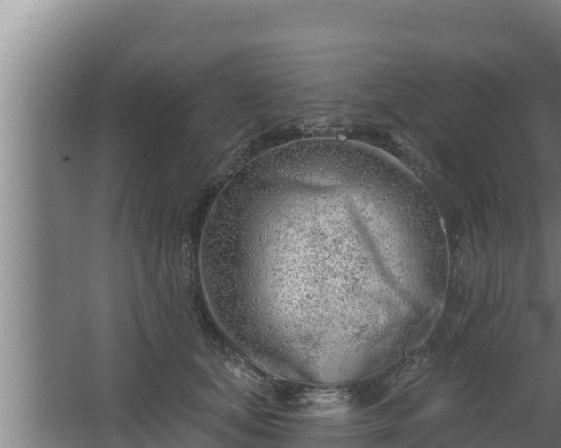 X0000064050659200602031625