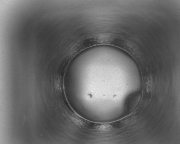 X0000064050663200602031625