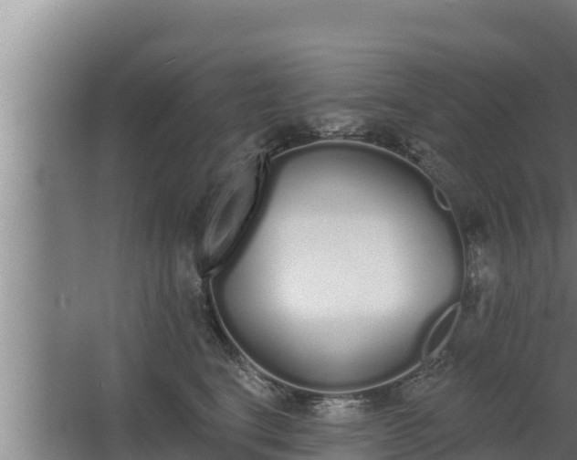 X0000064050664200602031625