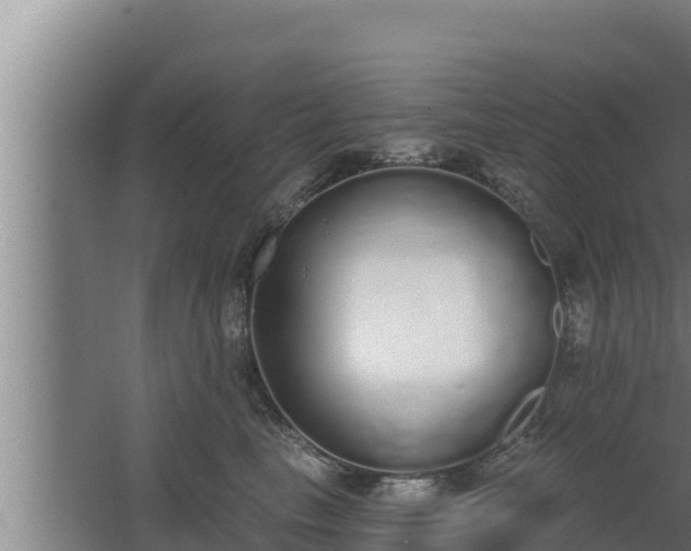 X0000064050665200602031625